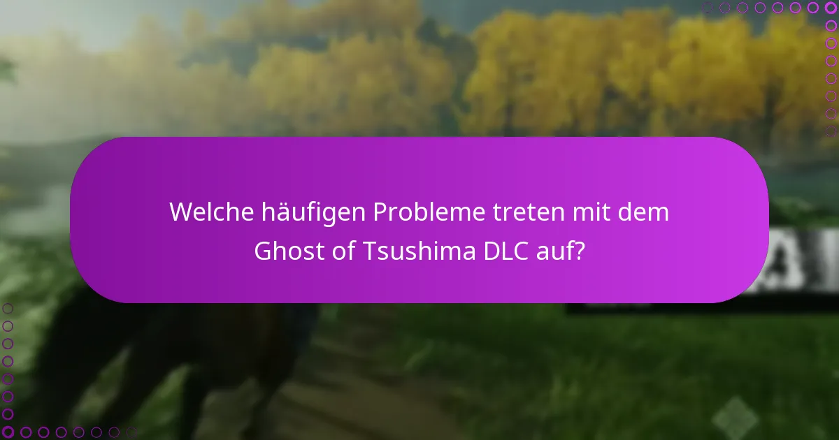 Welche Methoden gibt es, um den Zugriff auf das DLC zu überprüfen?